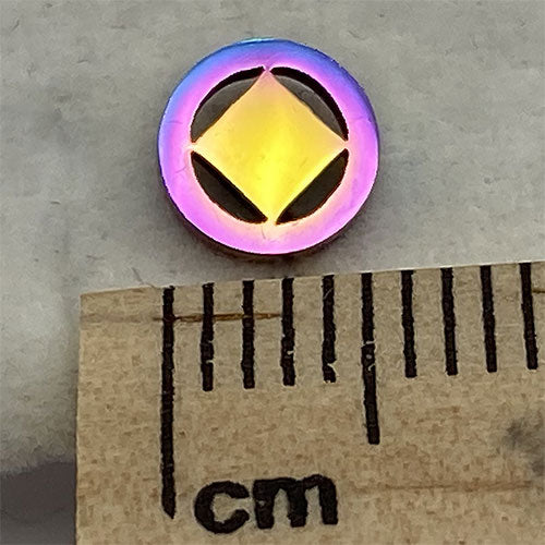 Rainbow Ionic Plated Stainless Steel Narcotics Anonymous Stud Earrings - Hypoallergenic