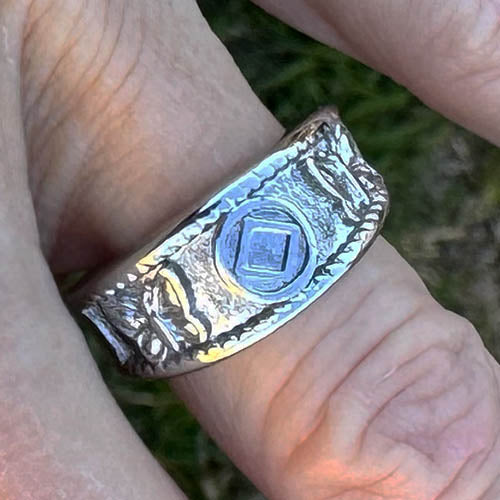 Narcotics Anonymous Butterfly Ring: Stainless Steel 12 Step Recovery Jewelry